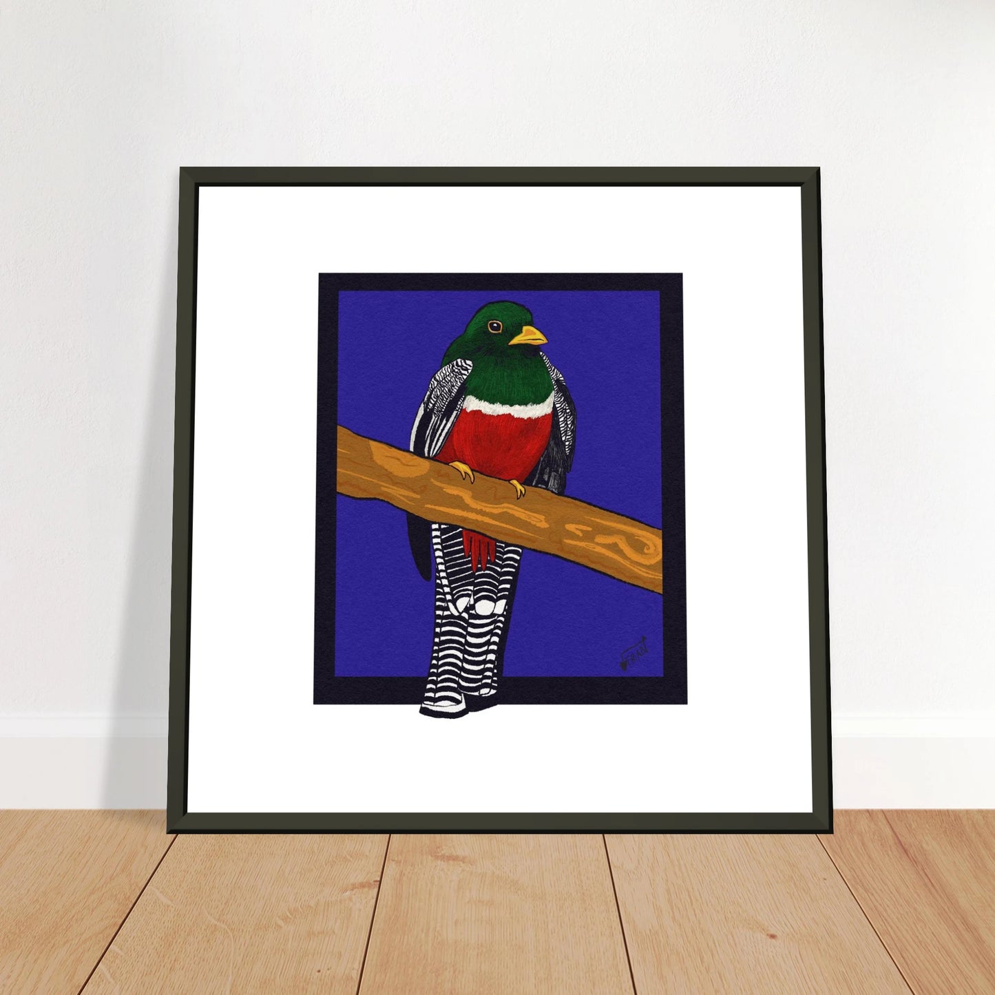 Hand-drawn Collared Trogon art print showing vibrant emerald-green tropical bird with red belly in metal frame on premium matte paper leaning against the wall