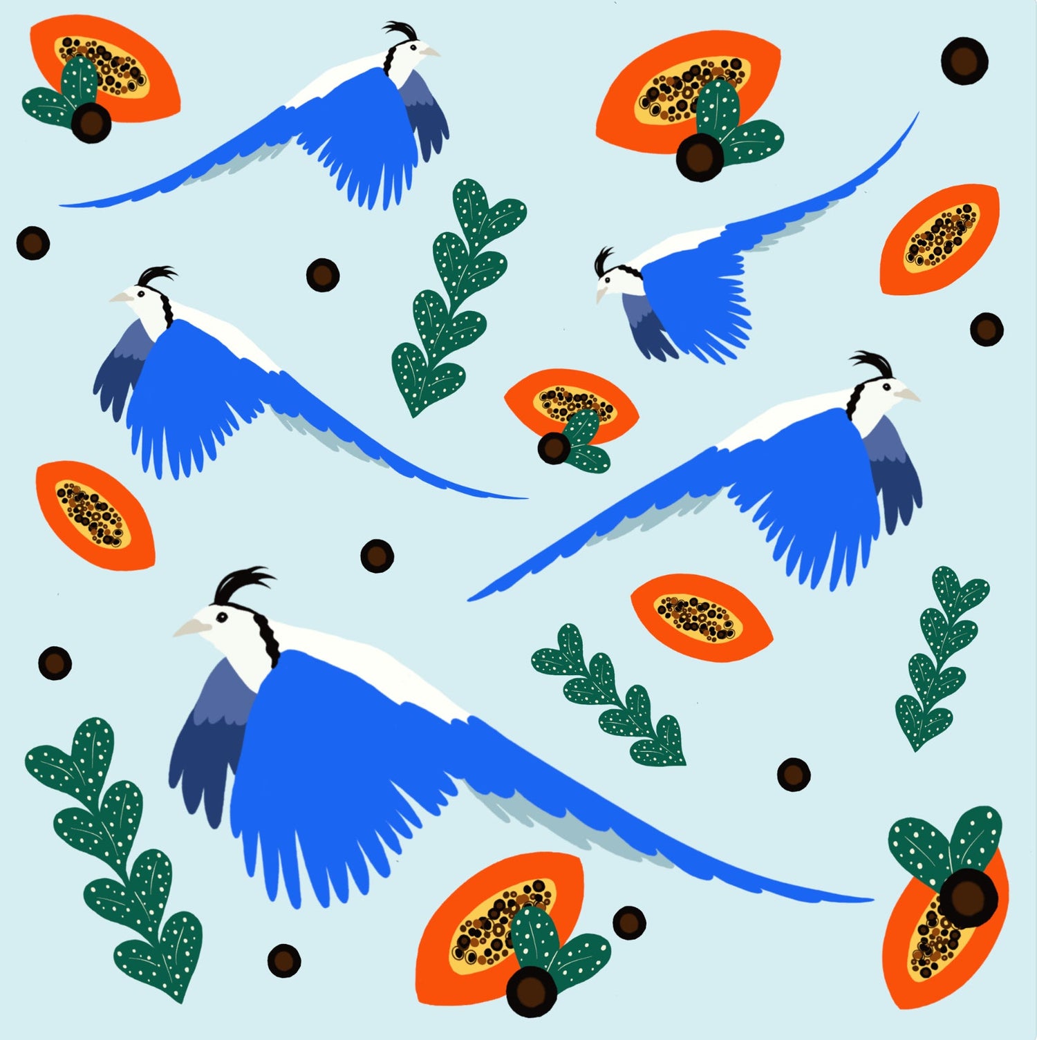 Beautiful Birds Collection