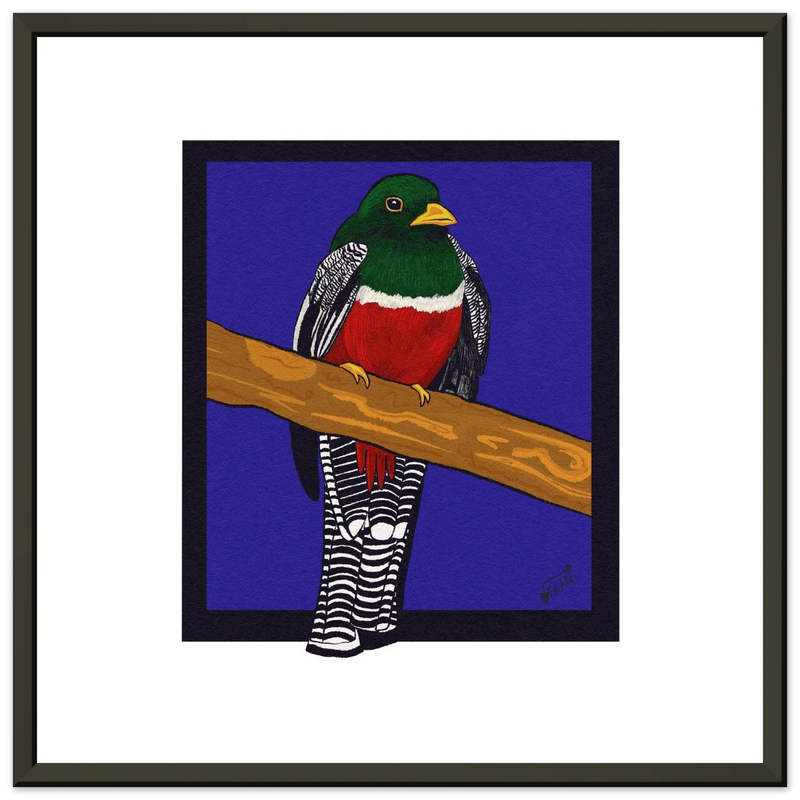 Beautiful Birds Collection