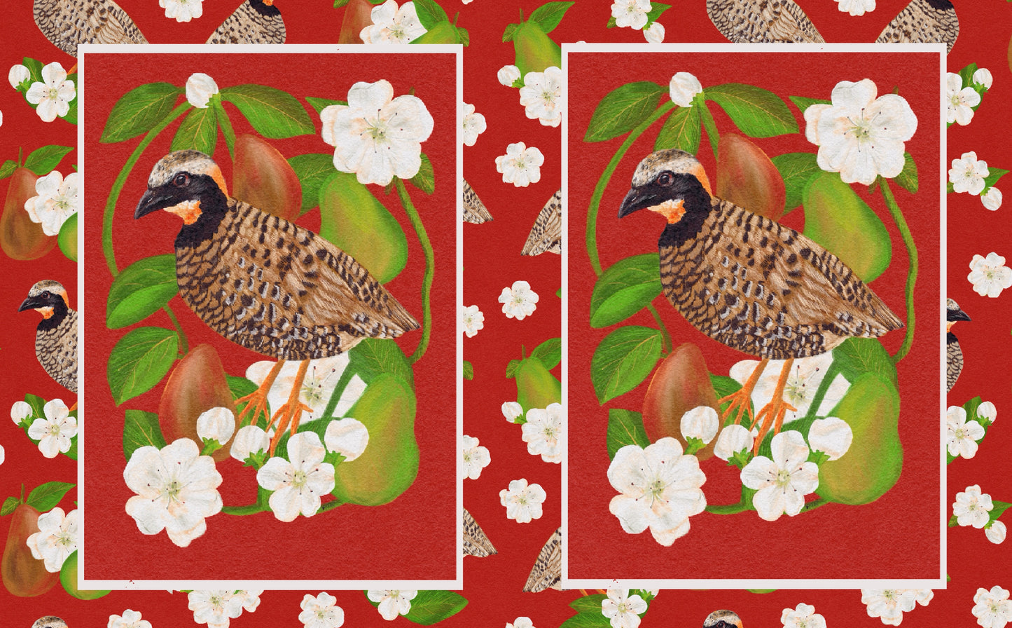 2dd63a72-ca3c-4d24-bd80-09c3bf29a3d7