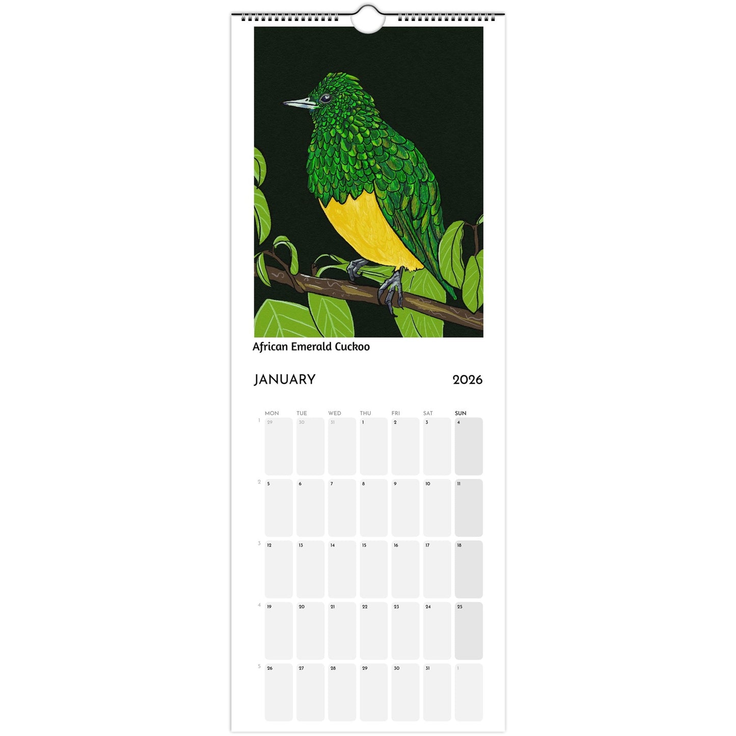 Bird Calendar 2026 showing African Emerald Cuckoo illustration