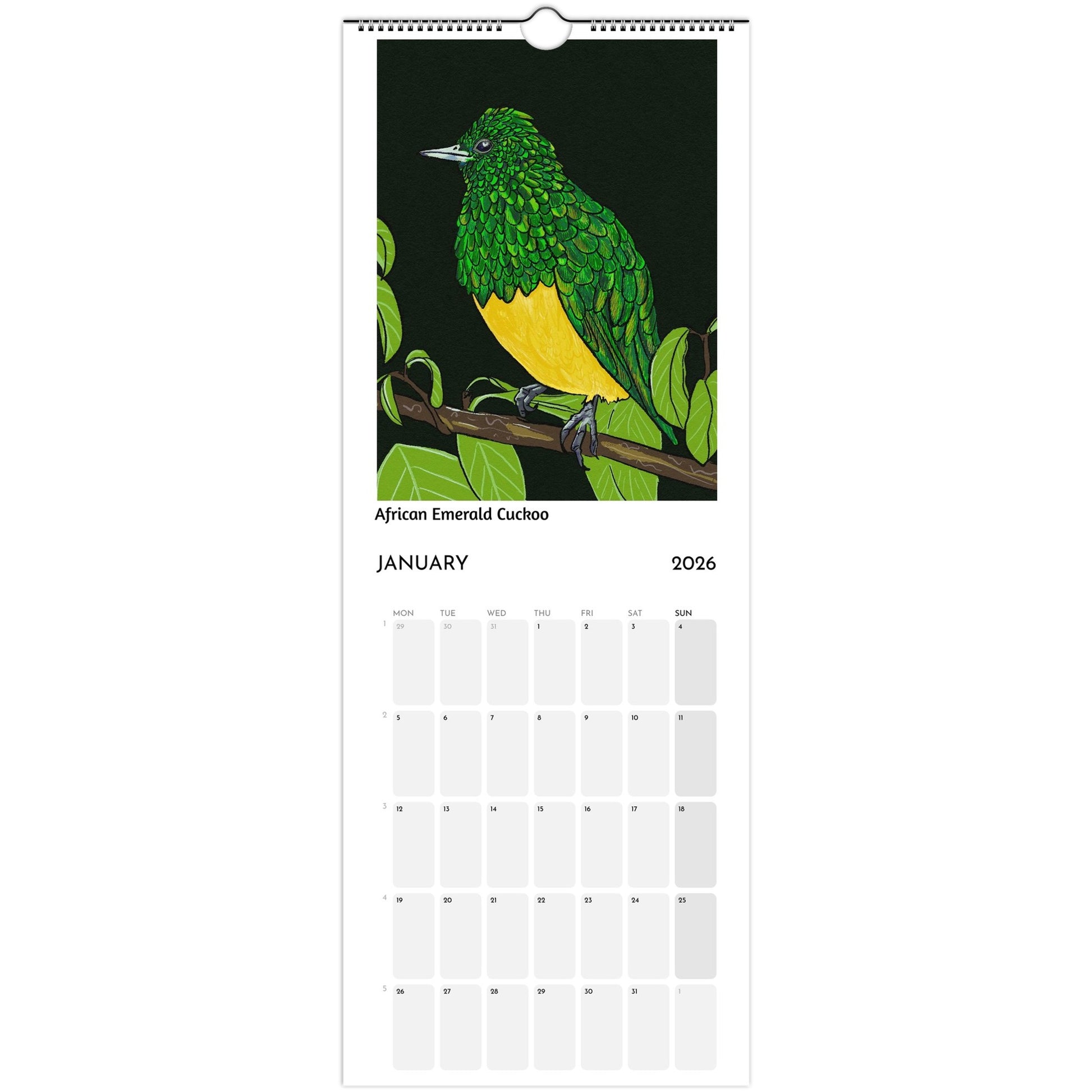 Bird Calendar 2026 showing African Emerald Cuckoo illustration