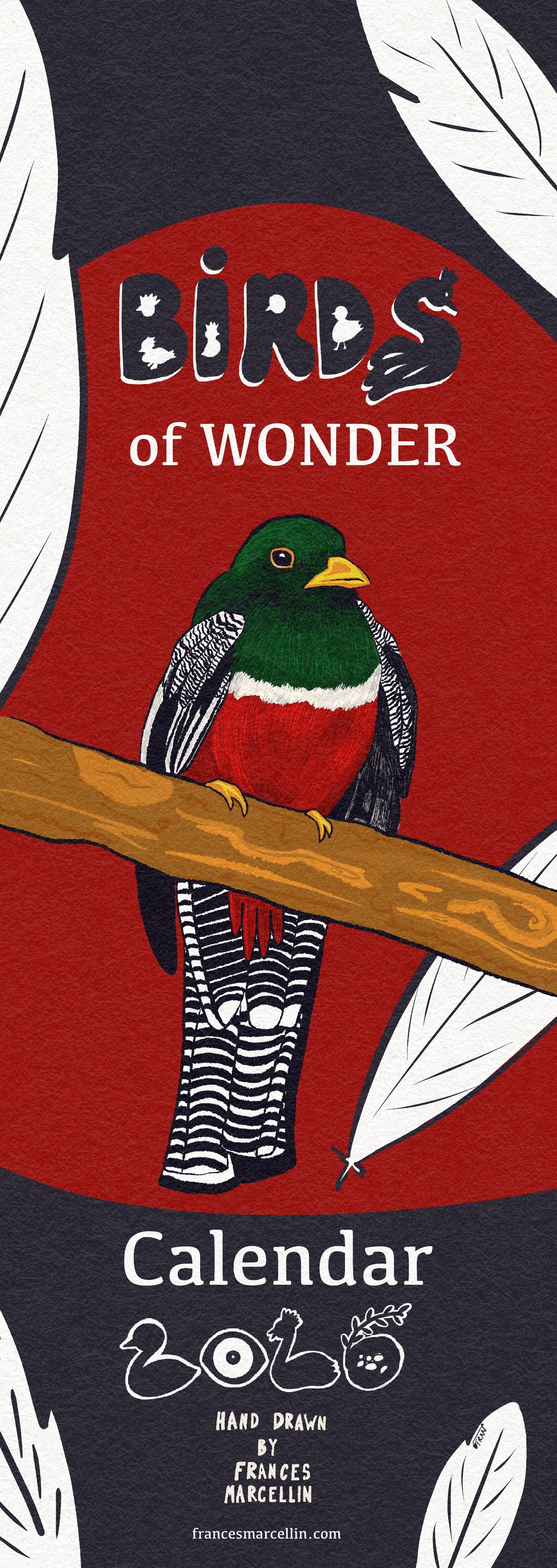 Calendar cover with a bird illustration and 'Birds of Wonder' text on a red and black background.