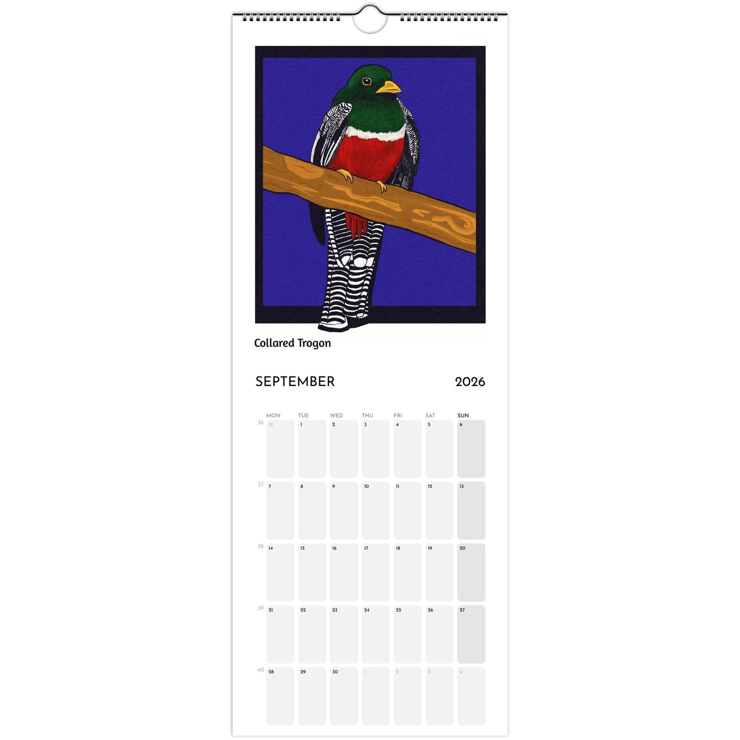 Bird Calendar 2026 showing Collared Trogon illustration