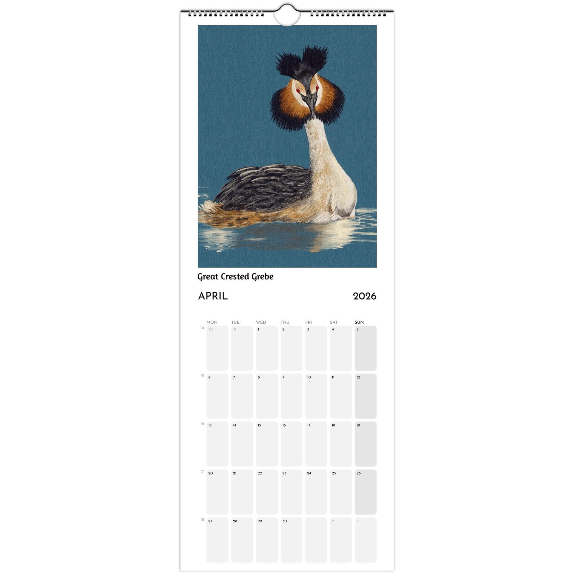 Bird Calendar 2026 showing Great-crested Grebe illustration