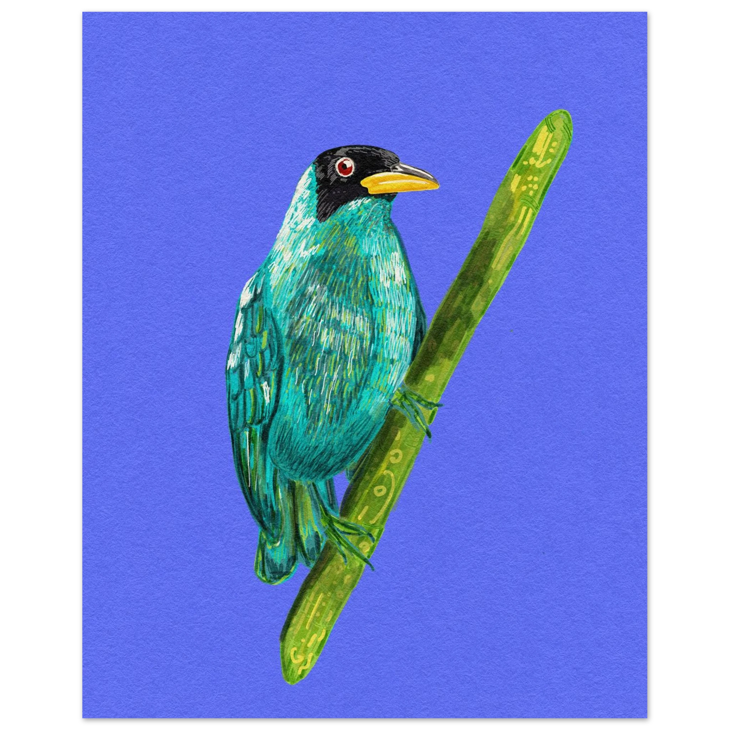 Hand-drawn Green Honeycreeper art print showing vibrant turquoise-green tropical bird on premium matte paper poster