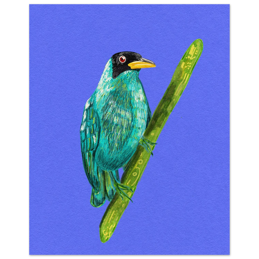 Hand-drawn Green Honeycreeper art print showing vibrant turquoise-green tropical bird on premium matte paper poster