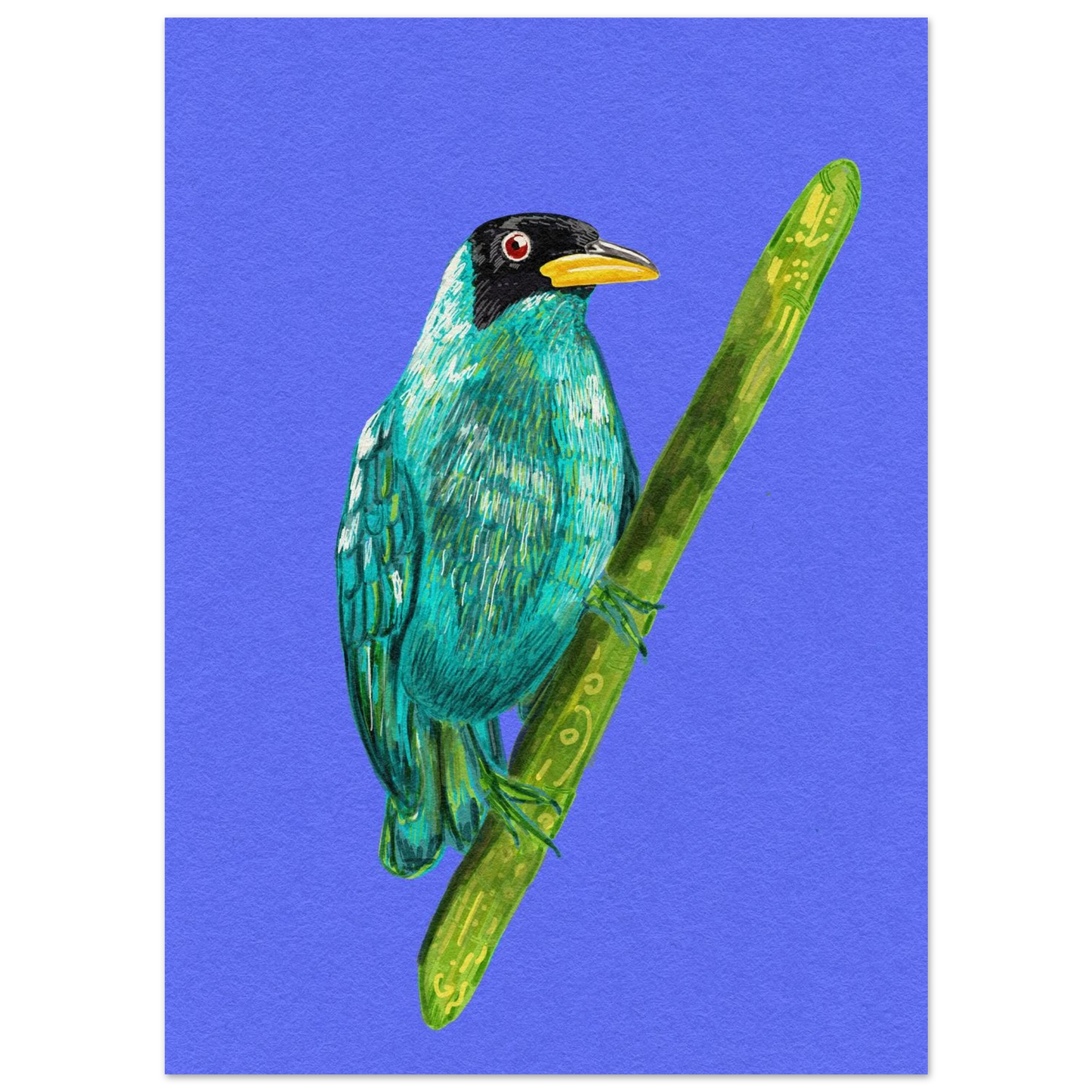 Hand-drawn Green Honeycreeper art print showing vibrant turquoise-green tropical bird on premium matte paper poster
