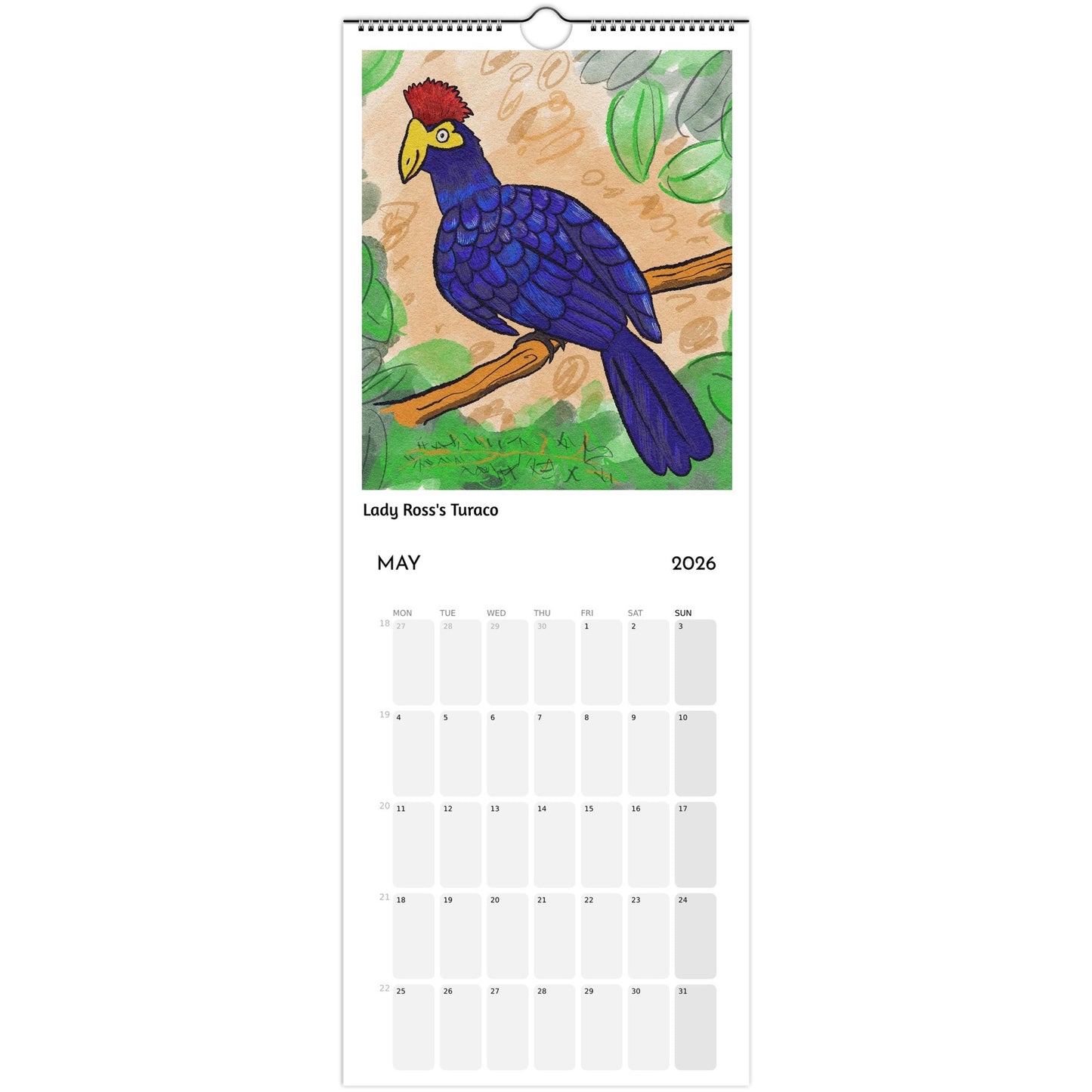 Bird Calendar 2026 showing Lady Ross's Turaco illustration