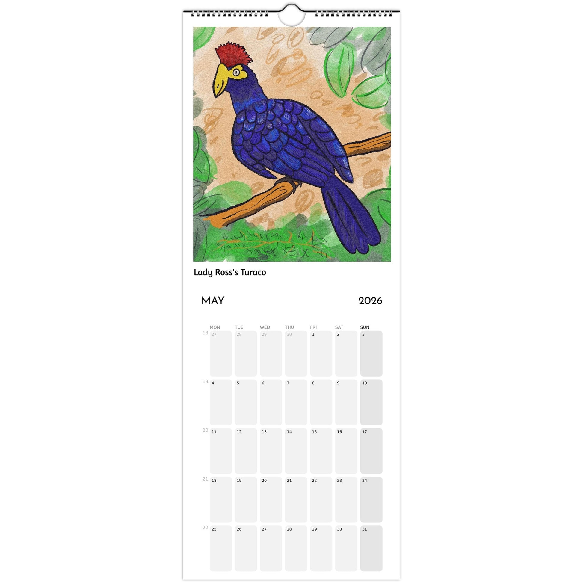Bird Calendar 2026 showing Lady Ross's Turaco illustration
