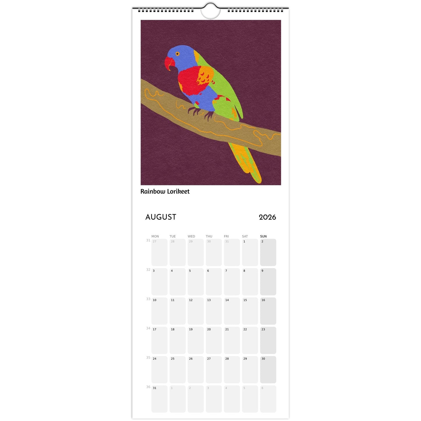 Bird Calendar 2026 showing Rainbow Lorikeet illustration