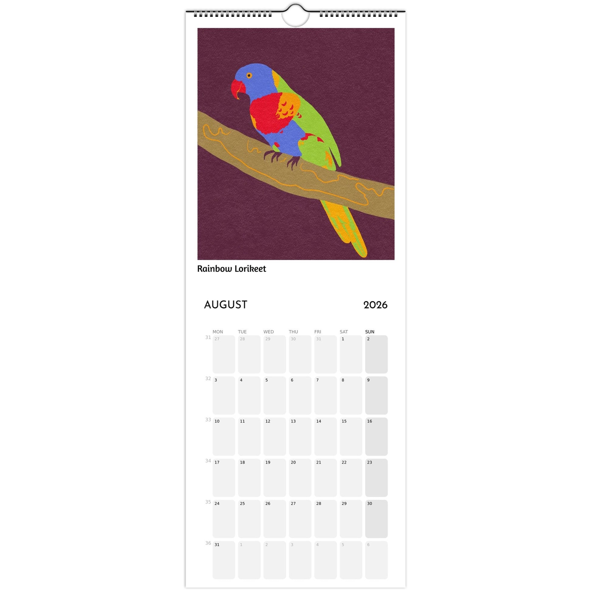 Bird Calendar 2026 showing Rainbow Lorikeet illustration