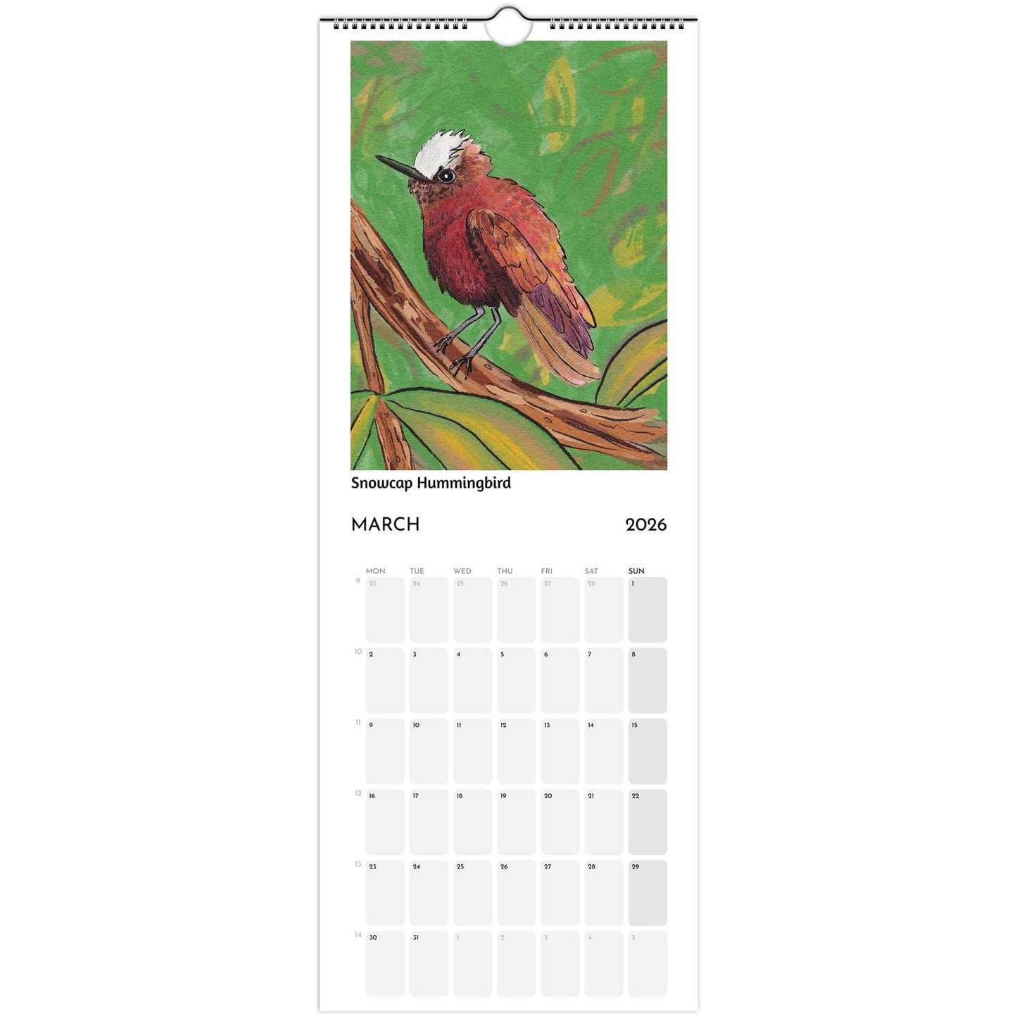 Bird Calendar 2026 showing Snowcap Hummingbird illustration