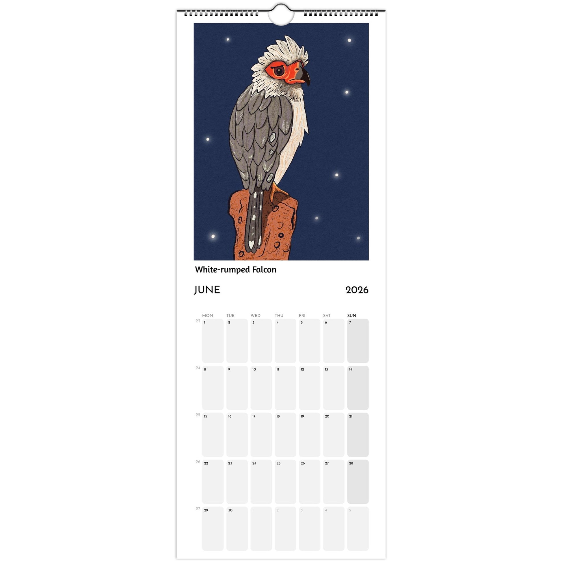Bird Calendar 2026 showing White-rumped Falcon illustration